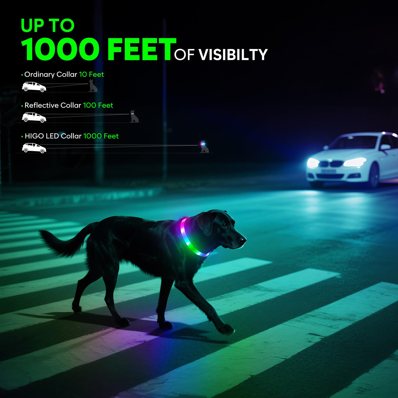 HIGO Collier lumineux LED RVB pour chien, rechargeable par USB, collier de sécurité à LED pour promener la nuit (multicolore)