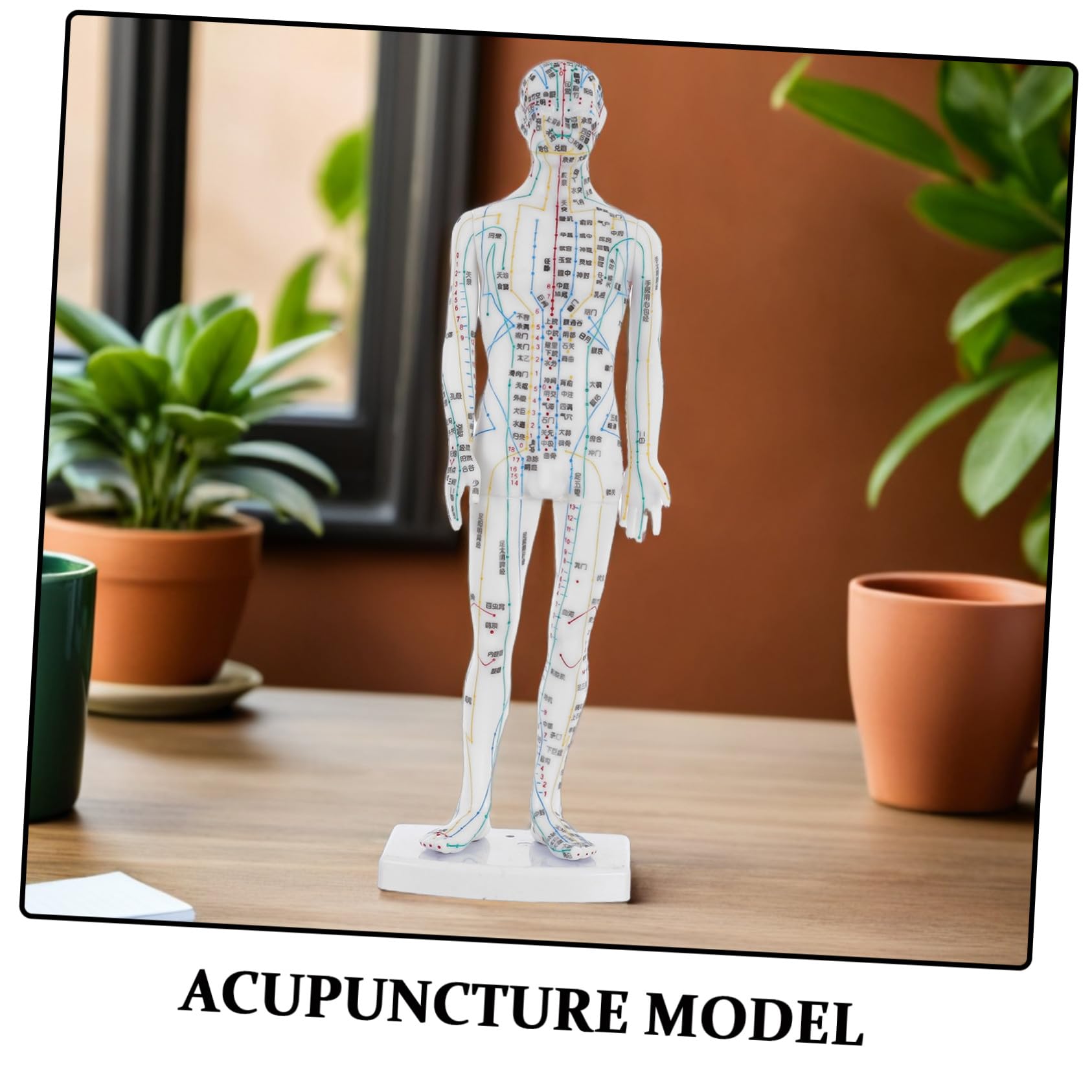 Manichino Meridiani Corpo Umano Bianco in Plastica per Agopunti | Aule Cliniche, Istruzioni Localizzazione, Supporto Gestione Salute, Professionisti, Operatori del Massaggio