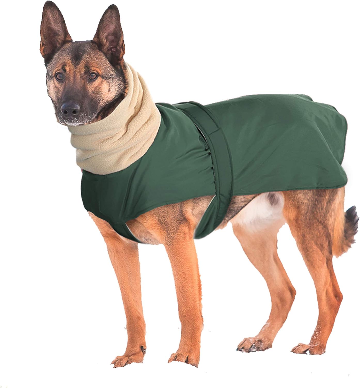 Didog Waterproof Dog Winter Jacket with Turtleneck Scarf,Pets Cold Weather Coats with Soft Warm Fleece Lining,Windproof Snowsuit Outdoor Apparel for Medium Large Dogs,Green : Pet Supplies
