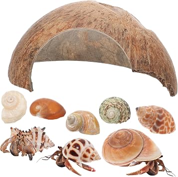 Crab Shells Pet Coconut Shell House Hideout Turtle Cave Habitat Safe Decorative Shelter