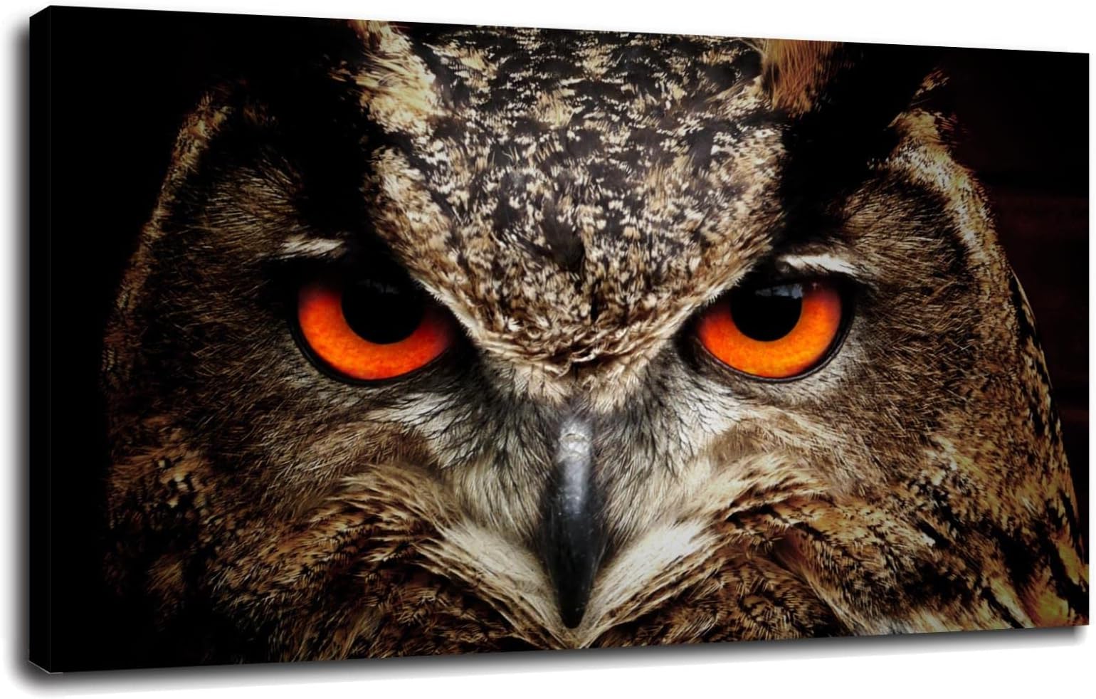 Gufo Integrale Waiting Per The Caccia (4924) Animal Poster- Photo Picture Poster Print Art Canvas Prints Poster Wall Art For Home Office Cinema Decorations With Framed 42"x24"