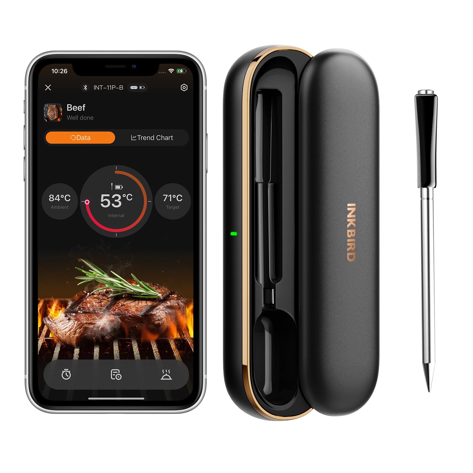 Termometro Wireless Per Carne INKBIRD - Bluetooth, Doppia Sonda Per Forno E BBQ, App Con Allarmi - Foto 6