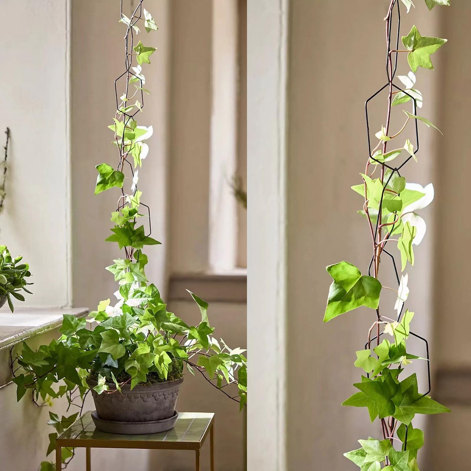 Houseplants Climbing Vine Planter Seway Garden Metal Plant Trellis