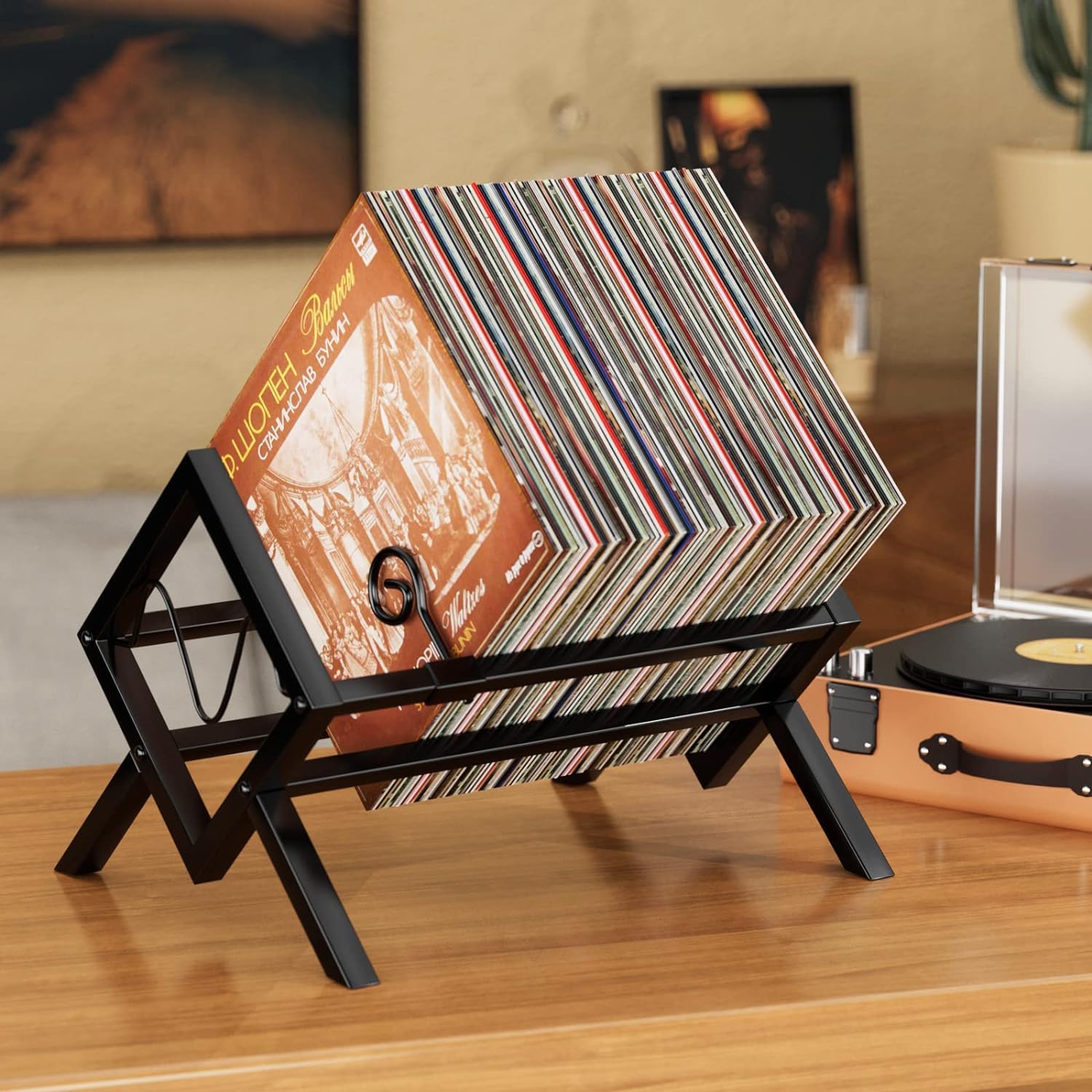 JANE EYRE Vinyl Record Stand, Metal Vinyl Record Holder for 80-100 LPs, Vinyl Storage Rack and Audio Album Shelf
