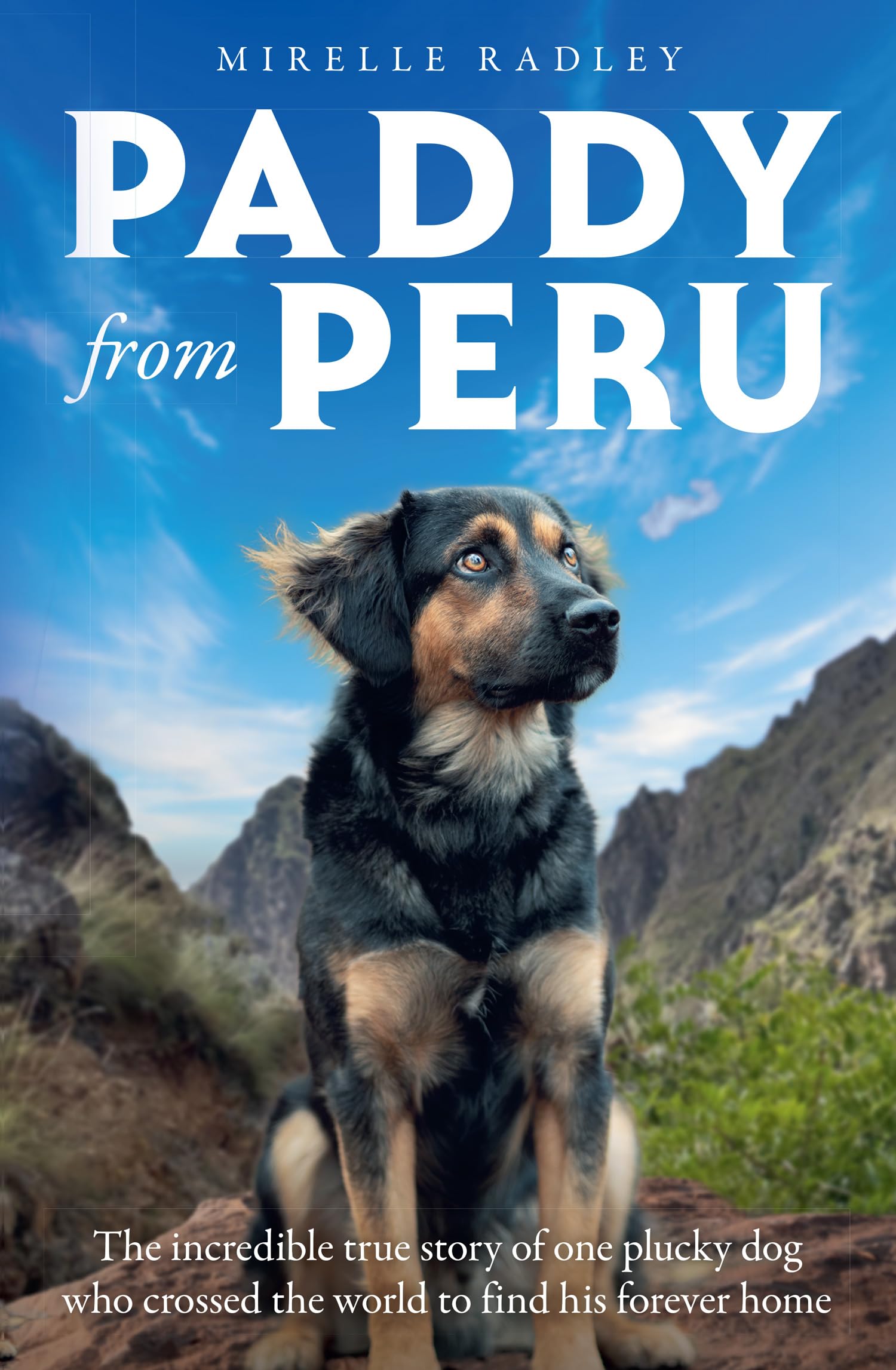 Paddy from Peru: The heartwarming tale of a remarkable bond between one woman and a special dog – a must-read for dog lovers