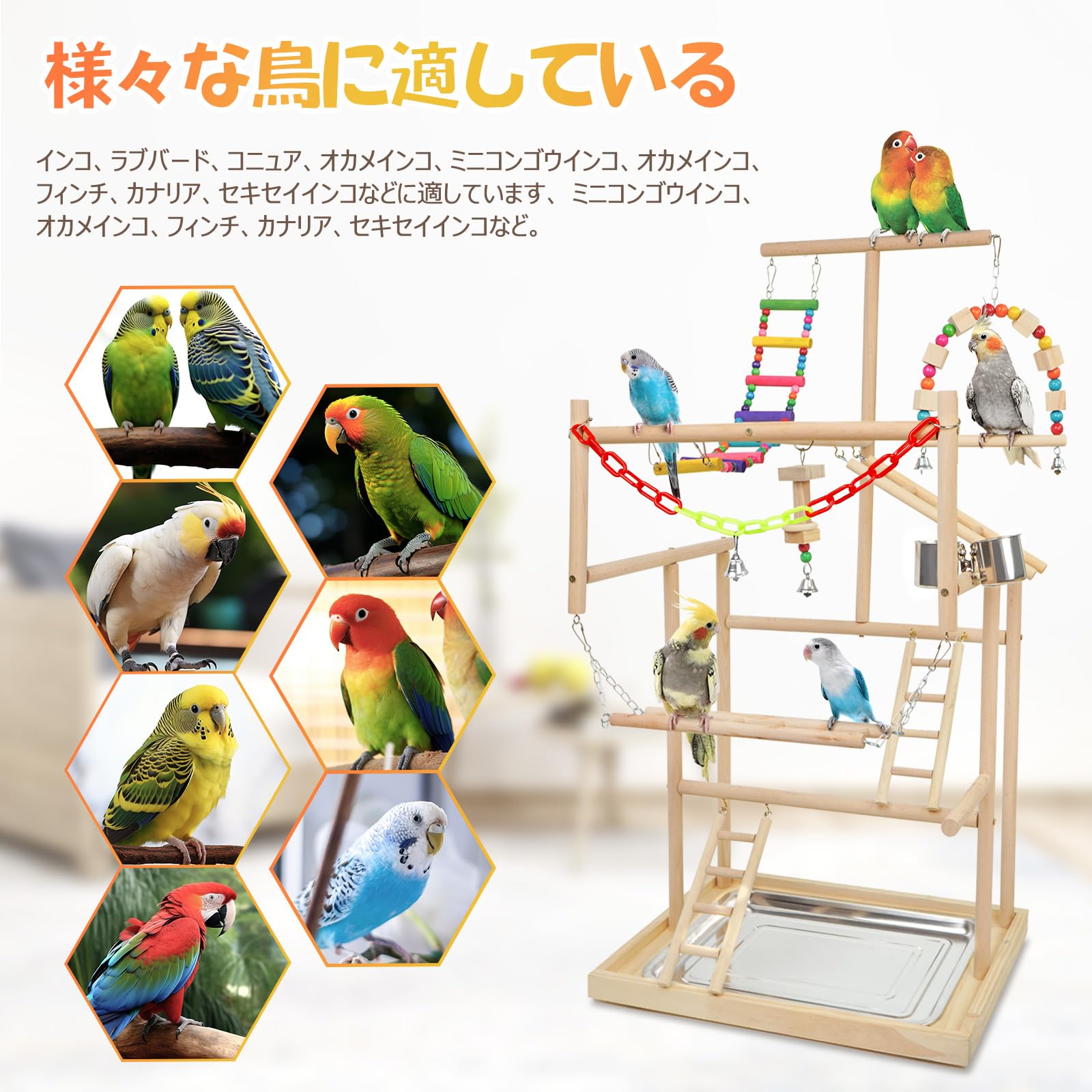 Amazon | バードアスレチック 鳥 遊び場 四層 バード アスレチック 