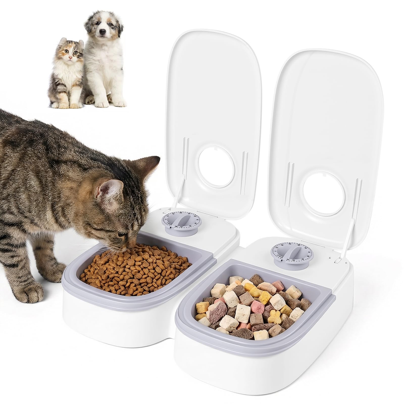 2X Automatic Pet Feeder Timer Bowl Cat Dog Food Dispenser Dish