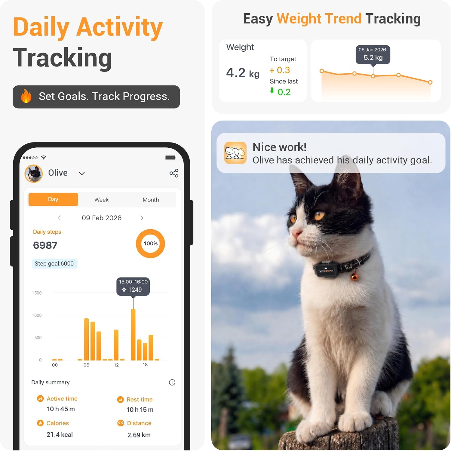 Pawfit Lite для кошек — GPS-трекер 4G | Ультракомпактный < 18 г | отслеживание в режиме реального времени и активность | история местоположений | защитный ошейник в комплекте | ONYXBLACK