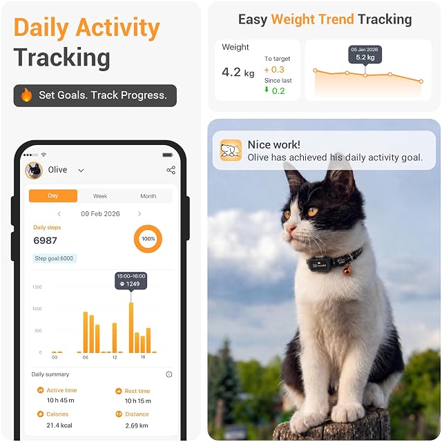 Foto 3 de 6 de Pawfit Lite for Cats - Rastreador GPS 4g
