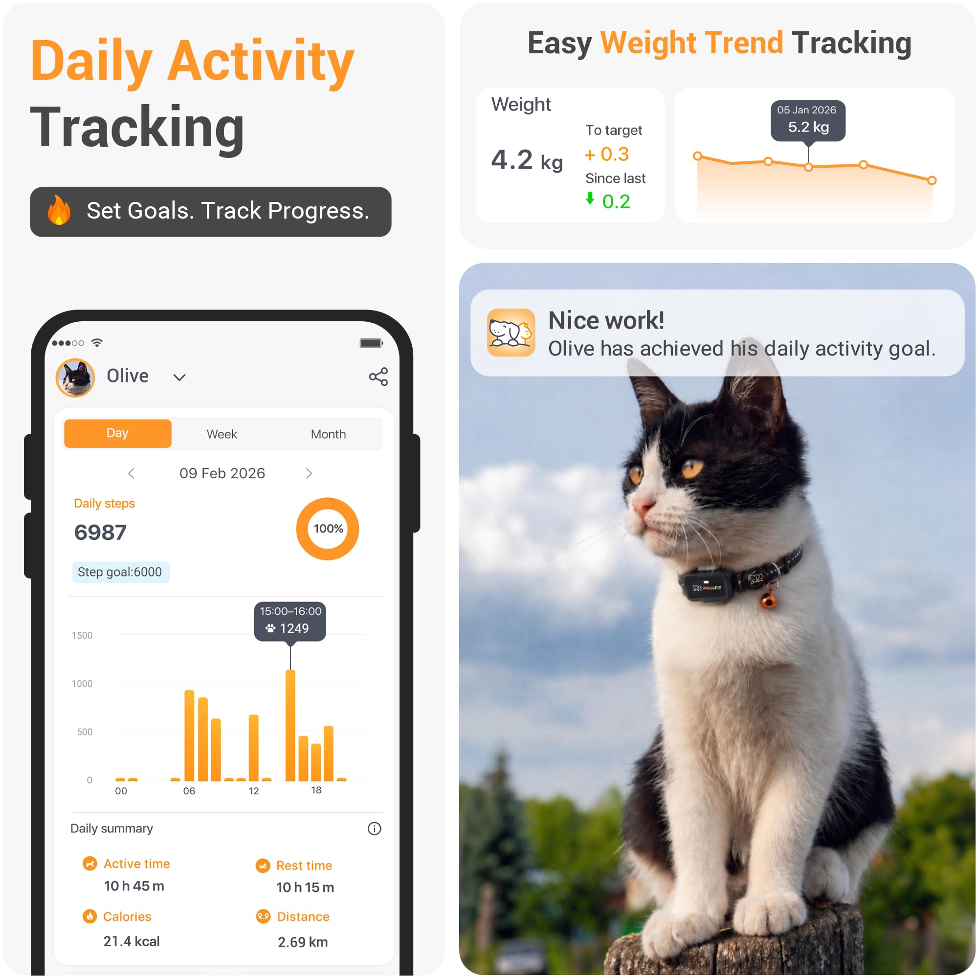 Pawfit Lite - Rastreador GPS 4g para gatos | Diseño ultra pequeño (<18g) | Seguimiento en tiempo real | Monitoreo de actividad | Historial de ubicaciones | Alcance ilimitado | Collar de seguridad