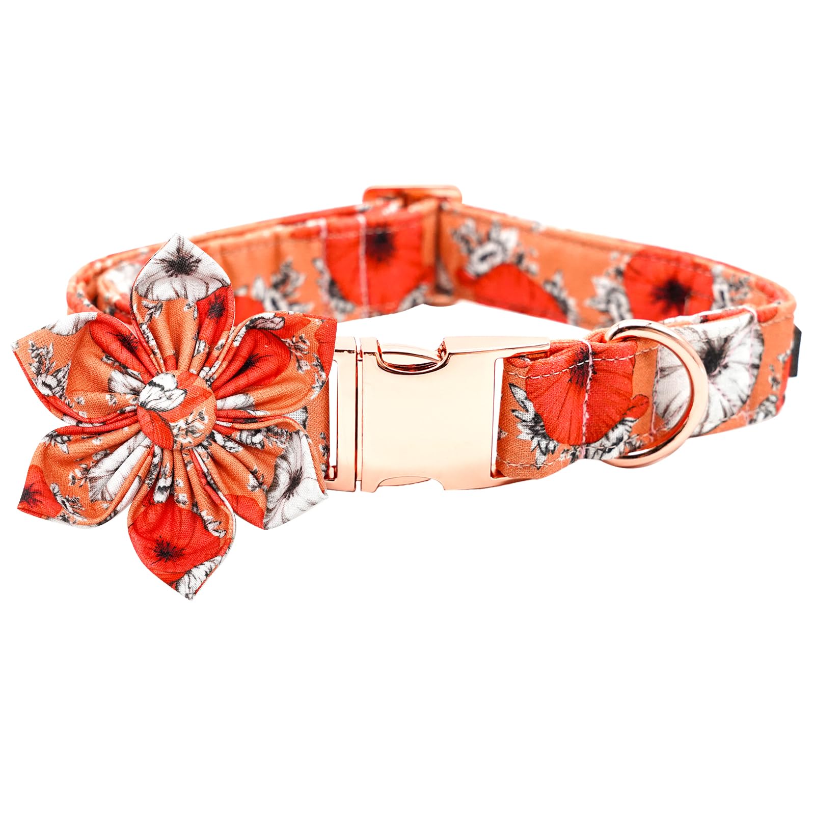 Bobo Rainbow Dog Collar, Fall Dog Collar with Flower Pet Collar Girl Boy Puppy Collars Cute Adjustable Dog Collars for Small Dogs