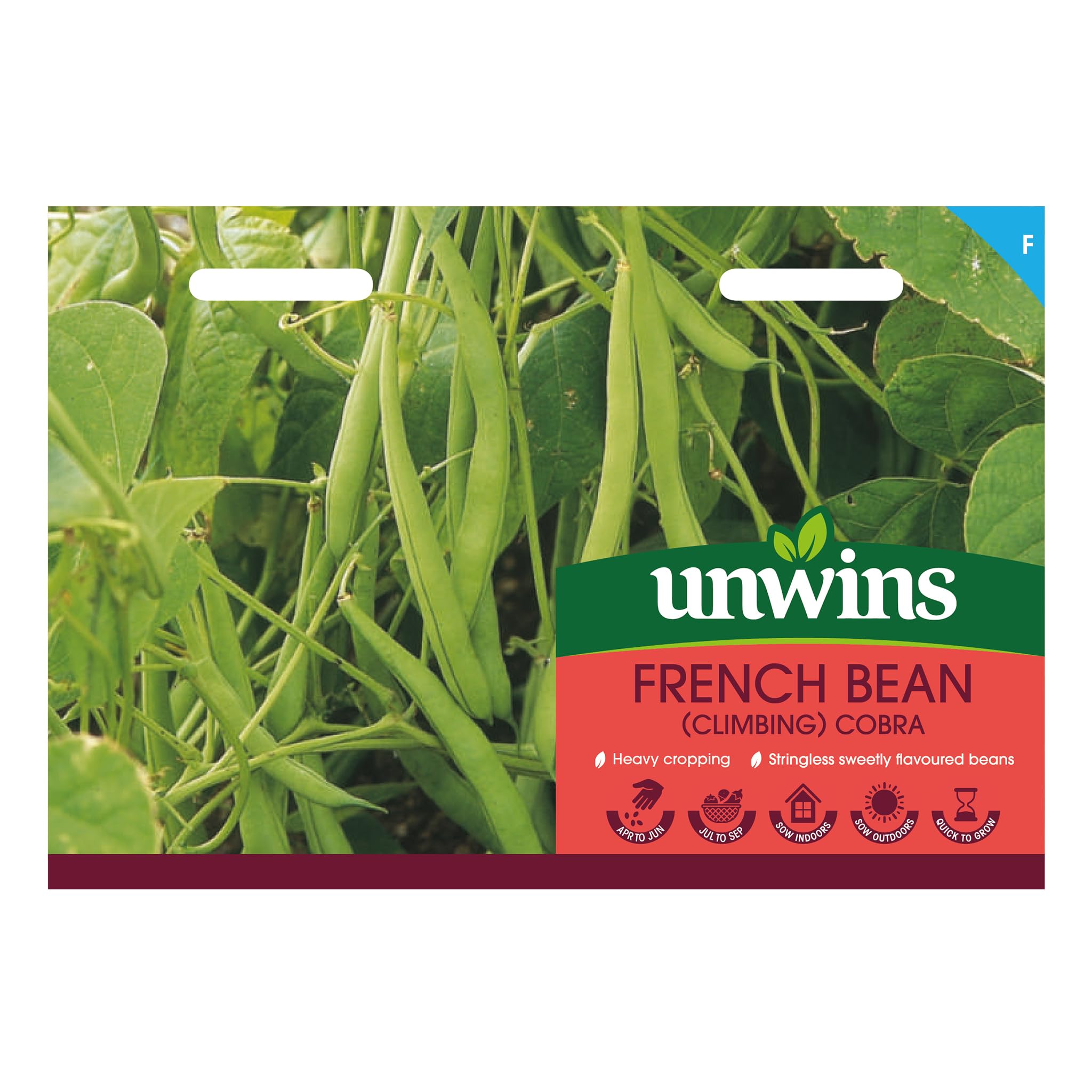 French Bean (Climbing) Cobra – Vigorous Garden Seed Variety