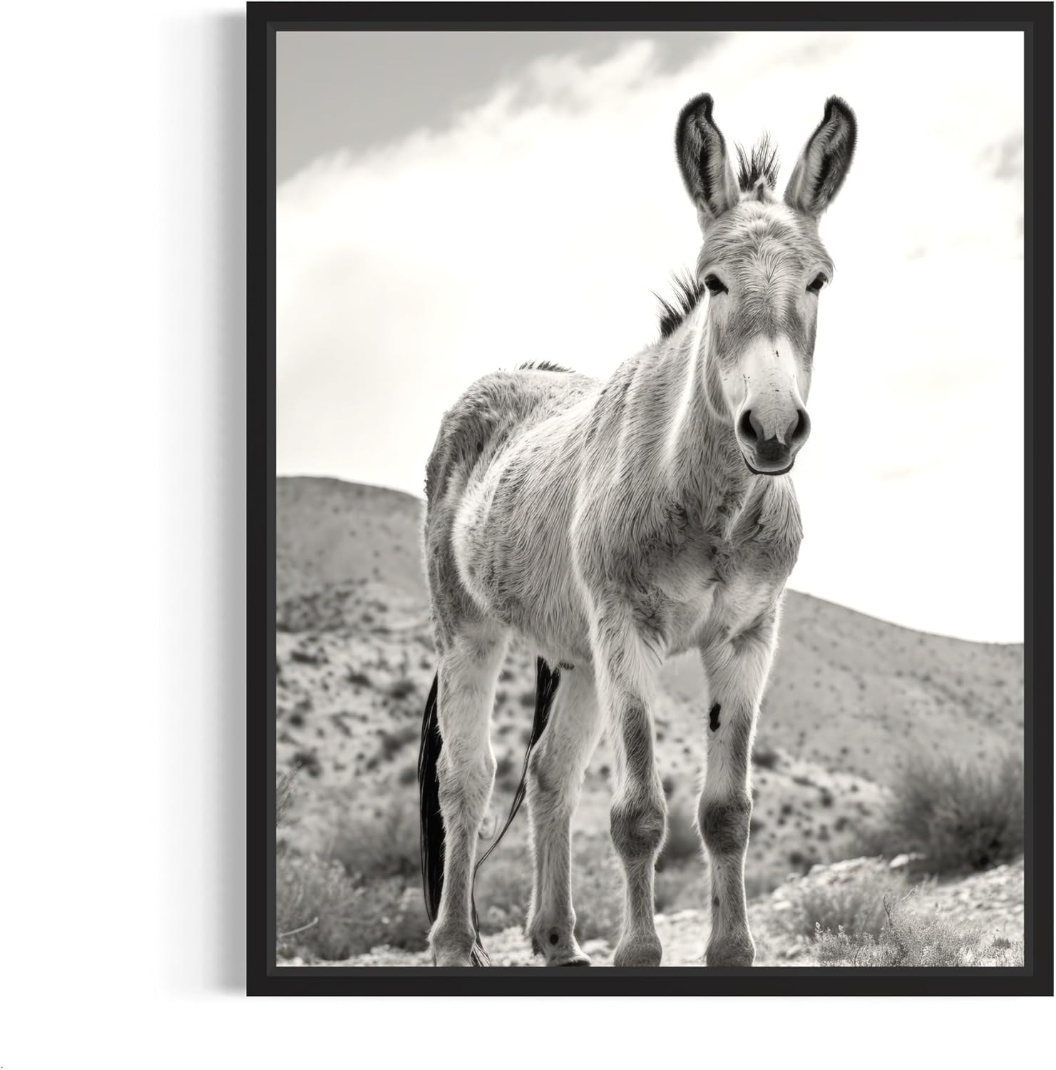 Rabbit Art Prints Posters, Black and White Photography Wall Art, Wildlife Safrai Jungle Nature Inspired Photos, Exotic Animal Wall Decor. (Rabbit, 18x24 inches (Unframed))