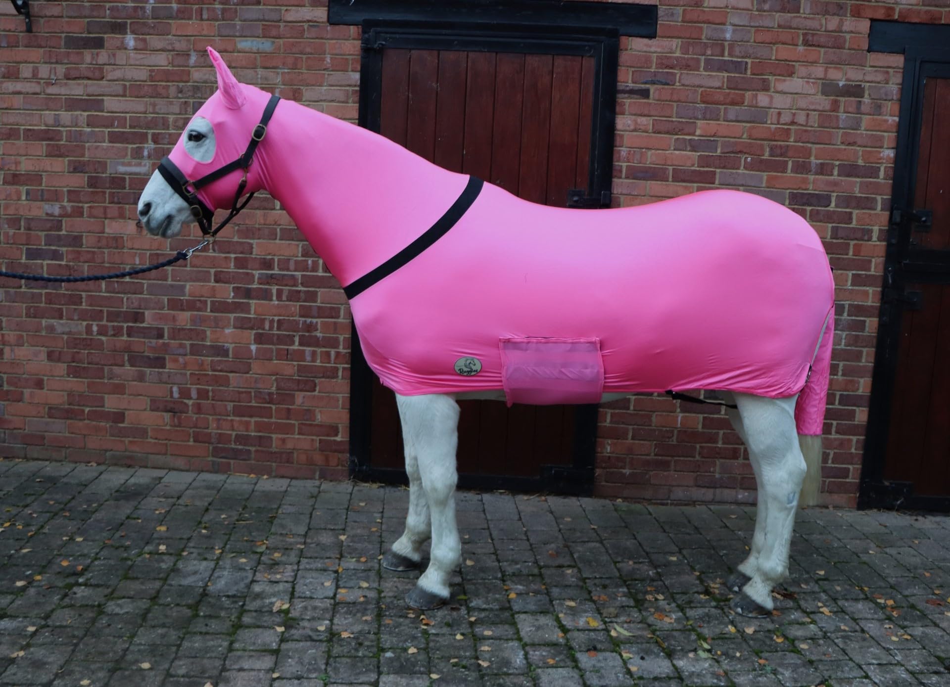 Ruggles Lycra Body Suit for Horse/Pony | Heat Sealed Seams | Detachable Tail Sleeve | Stretch Under Rug | Anti Rub Vest (Extra Small With Ears, Pink)