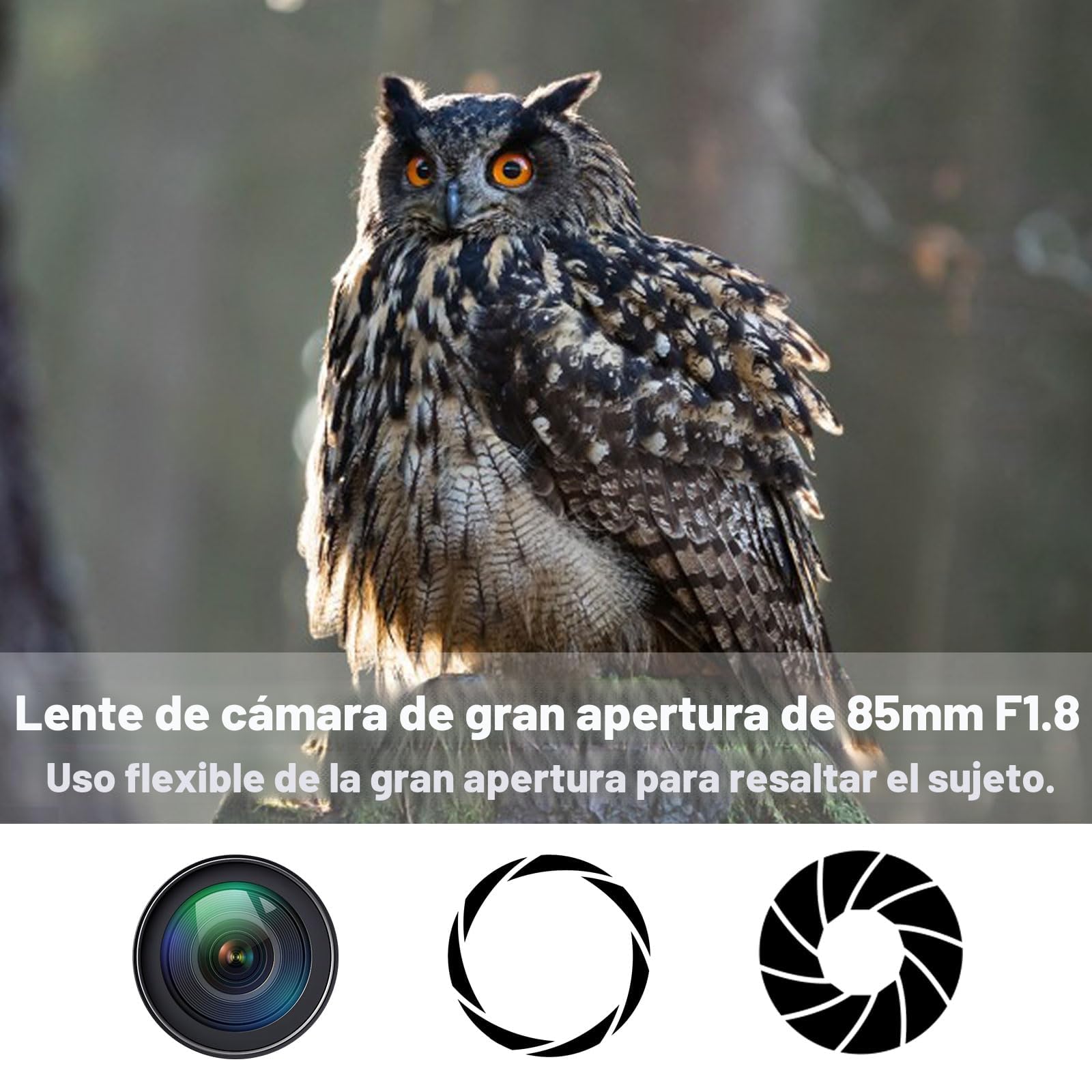 Objetivo EF para Canon - 85mm f1.8 Manual Lente de Retrato para Canon EOS 4000D 3000D 2000D 1500D 850D 800D 700D 750D 250D 200D 100D 90D 80D 77D 6DII/5DIV/IDXIII DSLR Cámaras