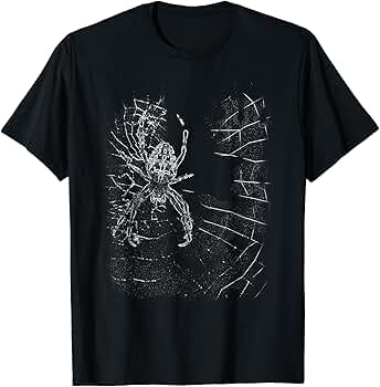 HWY×US/Big Spider Web L/S T-Shirt Amazon.com: Spider web Long Sleeve T-Shirt : Clothing, Shoes