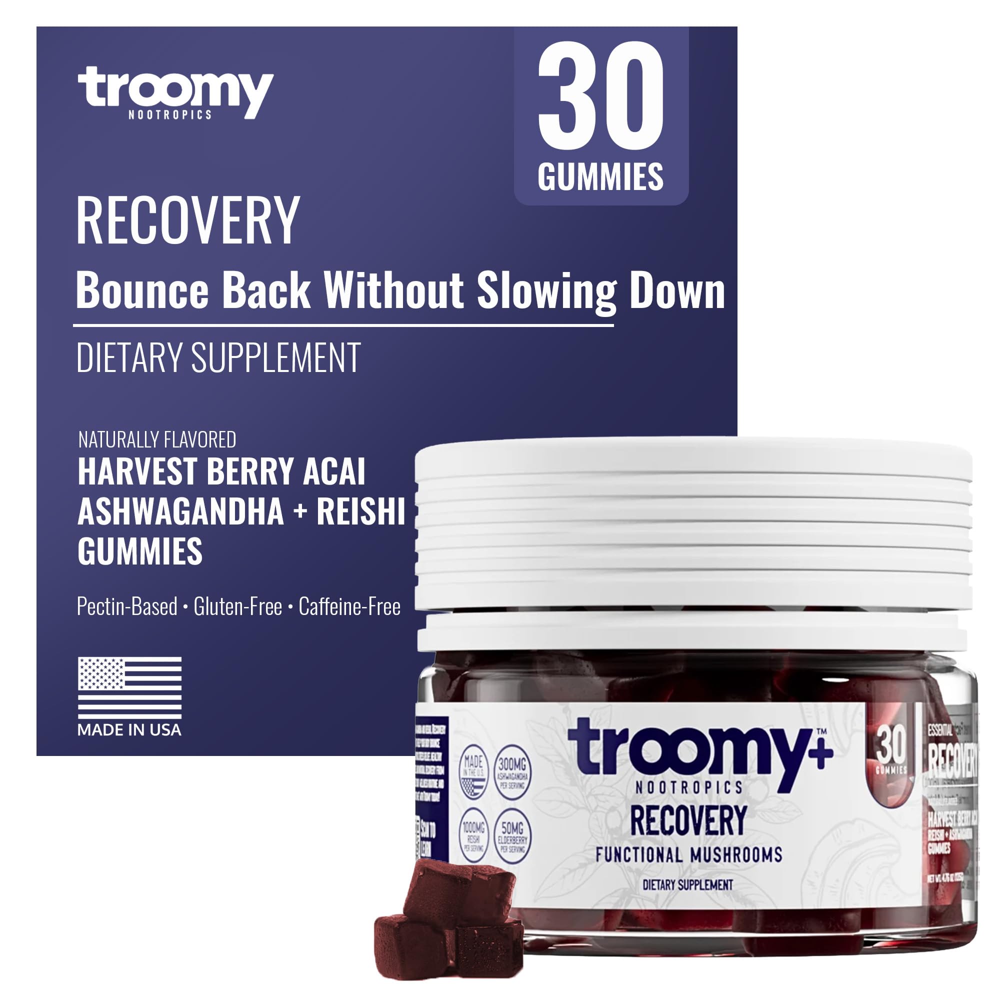 Troomy Ashwagandha Reishi Mushroom Gummies - Triple-Extracted - 30 Count 30 Count (Pack of 1)