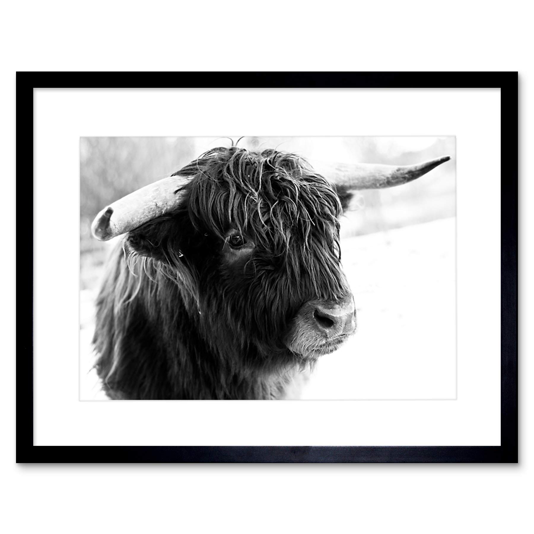 Wee Blue Coo Photo Composition Animal Livestock Highland Cow Bull Framed Wall Art Print