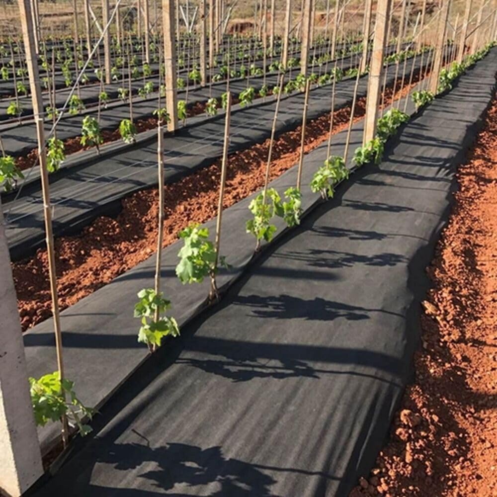 EraGreen Tessuto non tessuto premium per erbacce 150g/m² - 0,8m x 10m tessuto da giardino permeabile all'acqua e resistente ai raggi UV - telo per erbacce ideale per giardino e aiuole rialzate