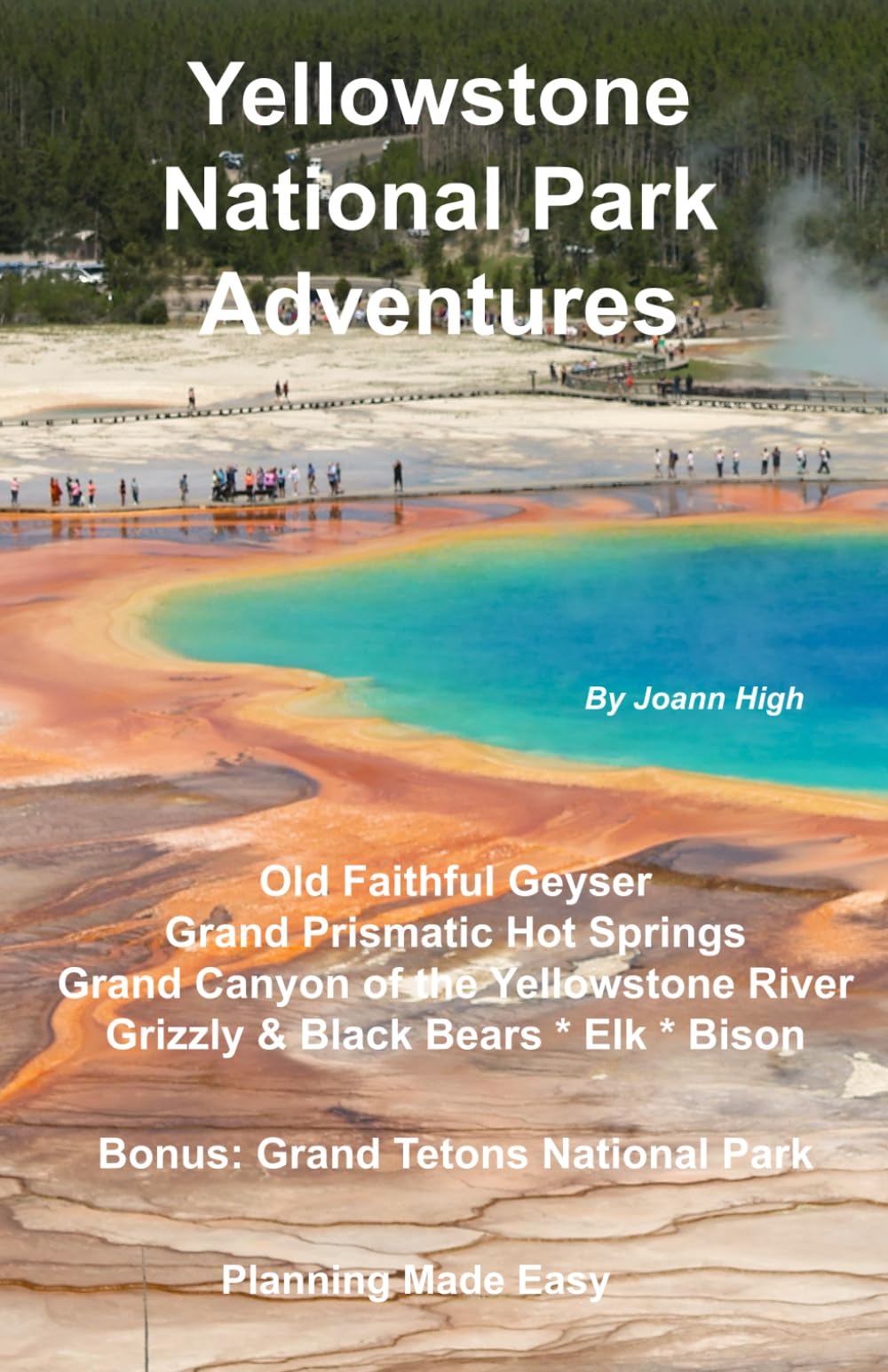 Yellowstone National Park Adventures (WanderBus Travels: Ultimate RV Travel Planning Collection)