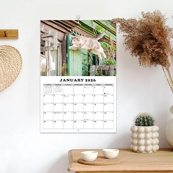 2026 Cat Calendar Wall - 13-Month Planner, Hanging Monthly Calendar | For Home, School, Bedroom, Classroom, Office, Students, Teachers, Workshop, Studio, Dorm