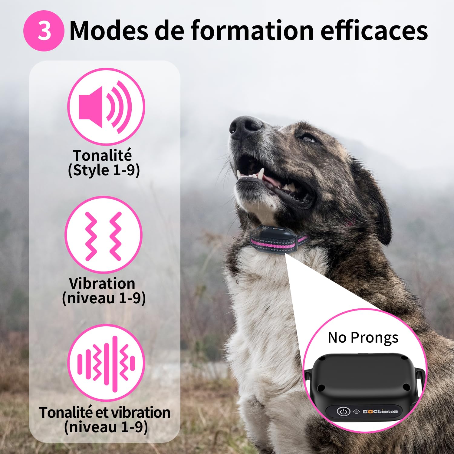 Collier de Dressage pour Chiens, Collier Vibrant pour Chien sans Choc, Portée 1000m, Étanche IP67, Batterie Longue Durée avec Adapté pour Chien Petit, Moyen et Grand