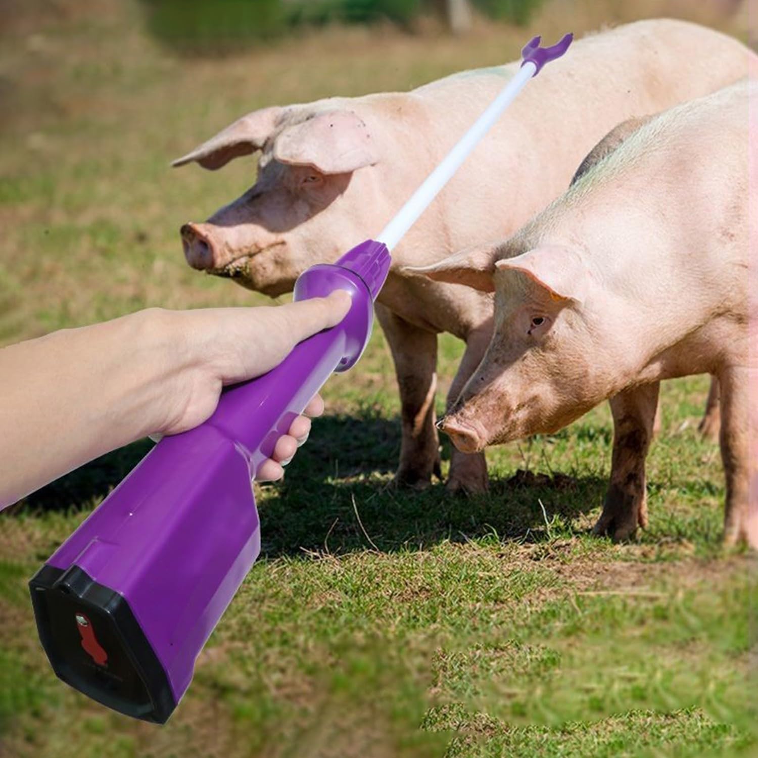 Picana Eléctrica,Animal Electric Prod,Aparato De Manejo Ganadero,Cerdo Ganado La Seguridad Prodder Empujador,Recargable para Ovejas Vacas Cerdos Ganado Y Perros,Impermeable