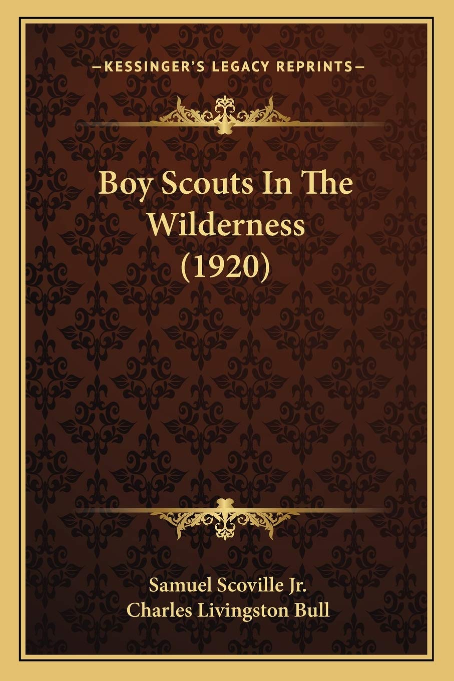 Boy Scouts In The Wilderness (1920)