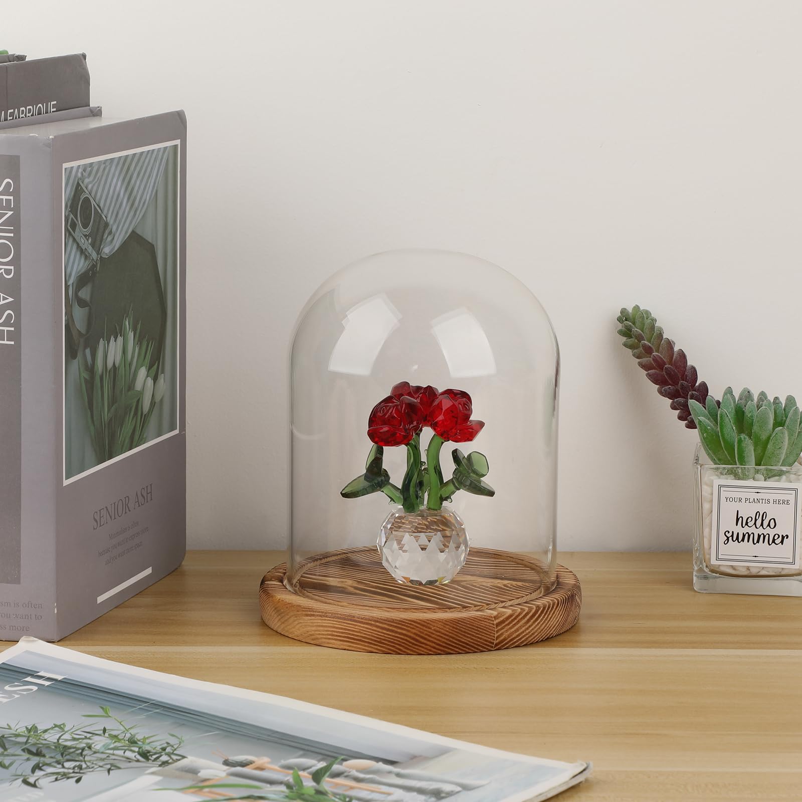 Cupola di vetro con base in legno naturale robusta campana decorativa in vetro per piastre da tavolo, lampade, candele, rose, decorazioni, antichità per Natale, compleanni, San Valentino