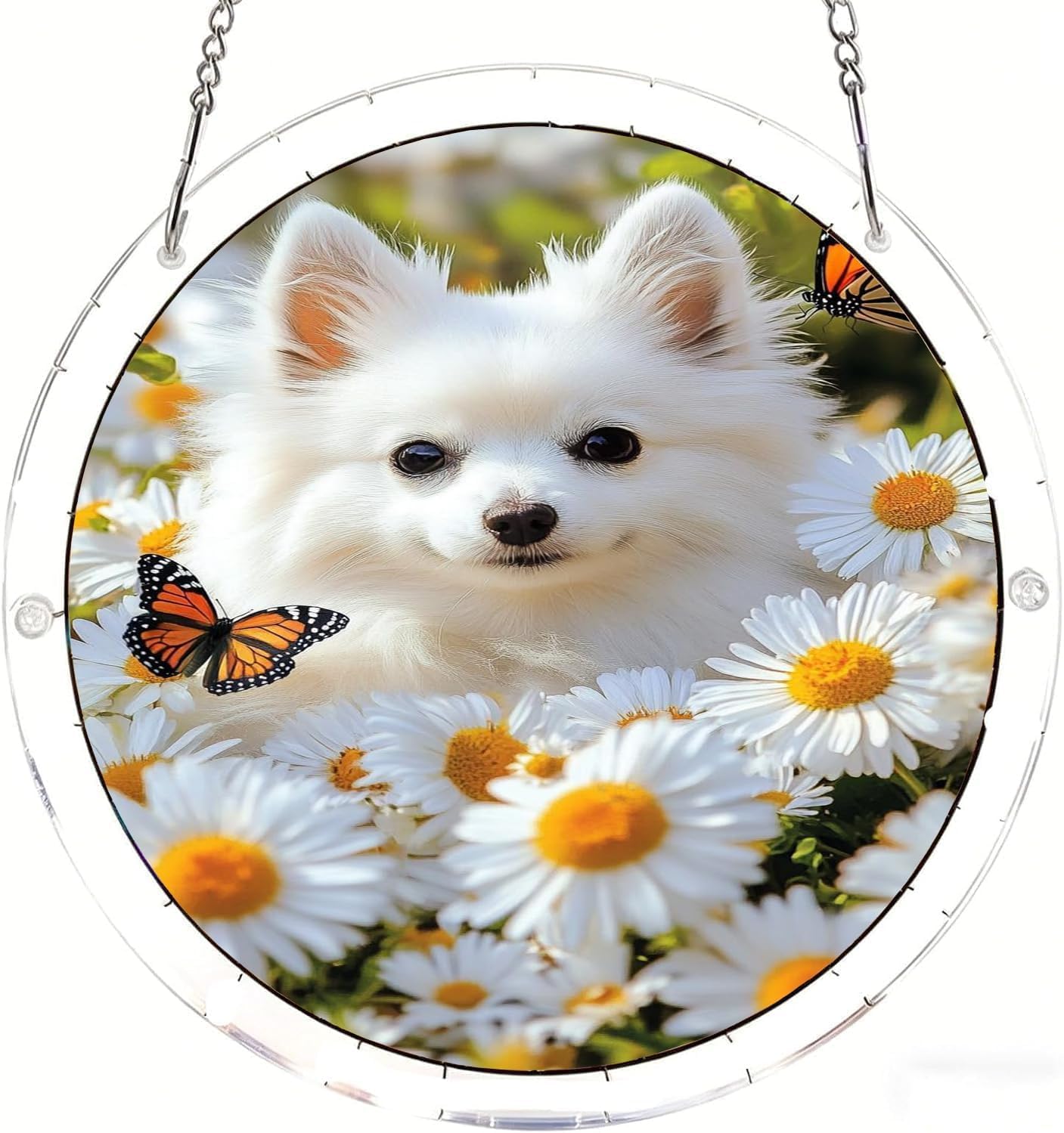 Pomeranian Among Daisies Acrylic Jigsaw Puzzles Suncatcher, 8.9 Inch Window Hanging Suncatcher Acrylic Puzzle, DIY Home Decor Art Gift