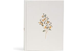 CSB Notetaking Bible: Journal, Pray, and Draw Closer to God