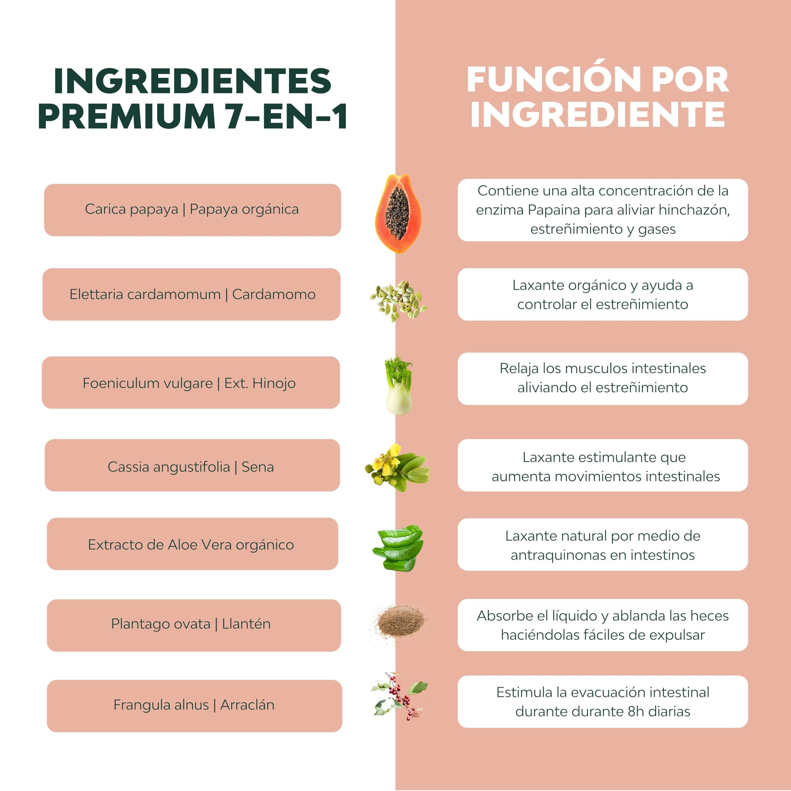 Laxante LAX+ 2x botellas, Alivia el Estreñimiento Adultos 100% Natural & Vegano, Ablanda las Heces, Efectivo & Rapido con Papaya, Arraclan, Cardamo, Hinojo, Sena, Aloe & Plantago