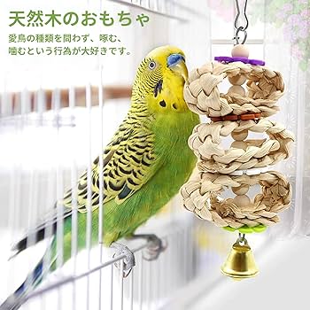 手作り声桶と鳥籠セット 楽天市場】お買い物マラソン【P5倍】鳥かご 竹制 複数飼い 鳥籠