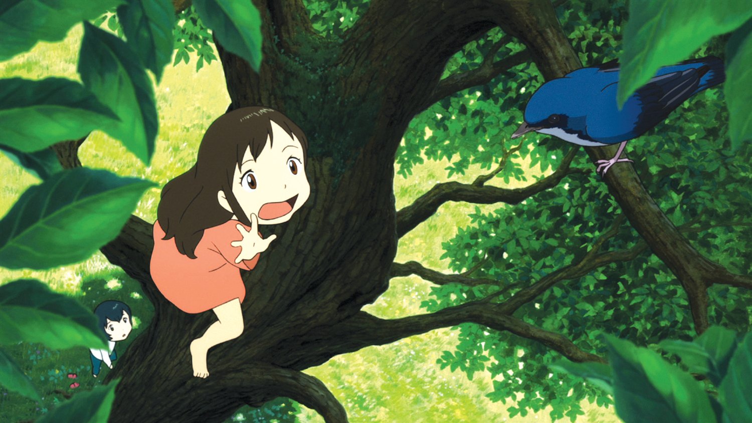 Wolf Children (2 Dvd) [Edizione: Stati Uniti]