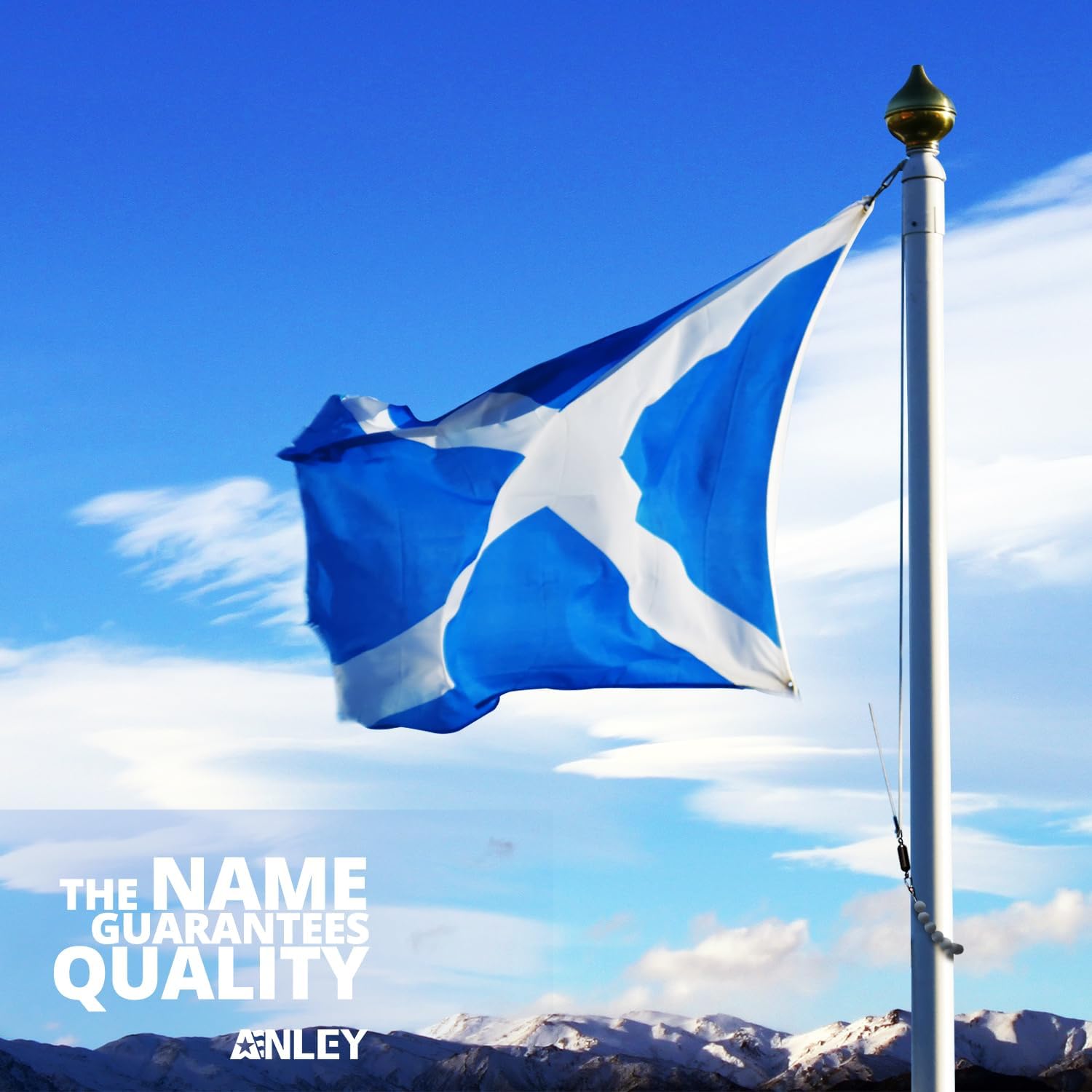 Gray Stainless Steel Flag Retainer Ring with Nylon Balls