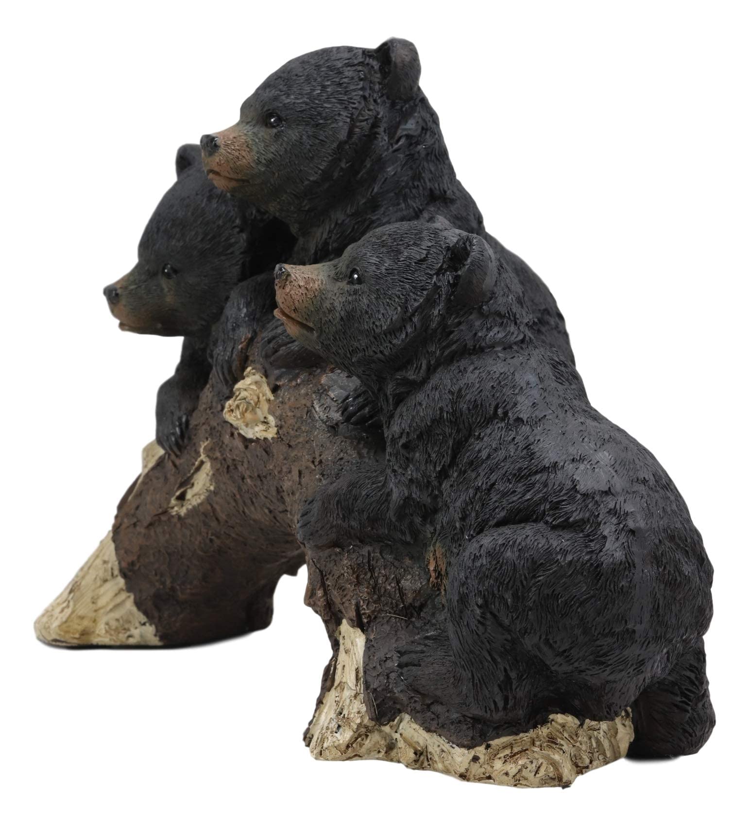 Amazon.co.jp: Ebros 風変わりな素朴な森 黒くまのカブス アーチ状の