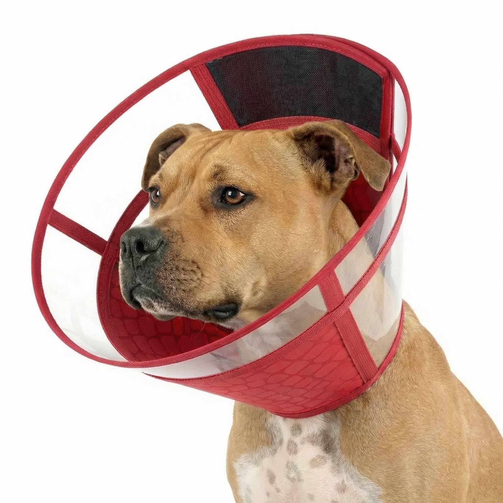 Dog Cone Collar, Protective Buster Collars for Dogs, Transparent Cone for Dogs Prevent Licking, Adjustable Pet Recovery Collar after Surgery, Foldable Medical Cones, Burgundy Red L