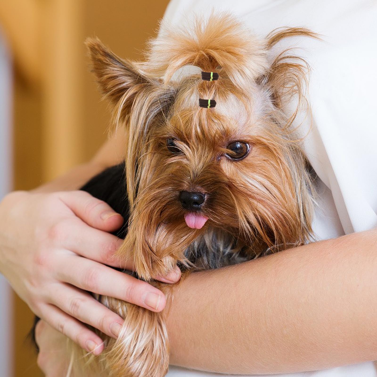 Braid Haircut Puppy Pgyong Clearance! Dog Wigs Pet Costume Wig