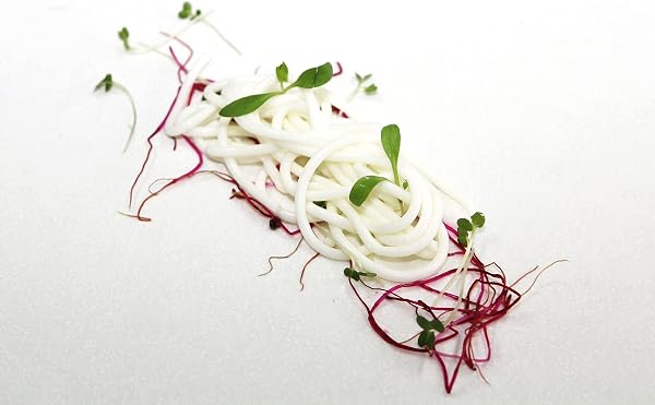 Agar Agar In Polvere 100 g Qualità Premio (Etichette e istruzioni Italiane) - 5