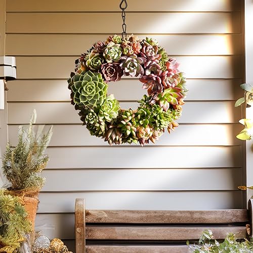 Miniatura 7 de Paquete de 6 plantas suculentas con raíz y tierra, fáciles de cultivar (variedades surtidas sin macetas)