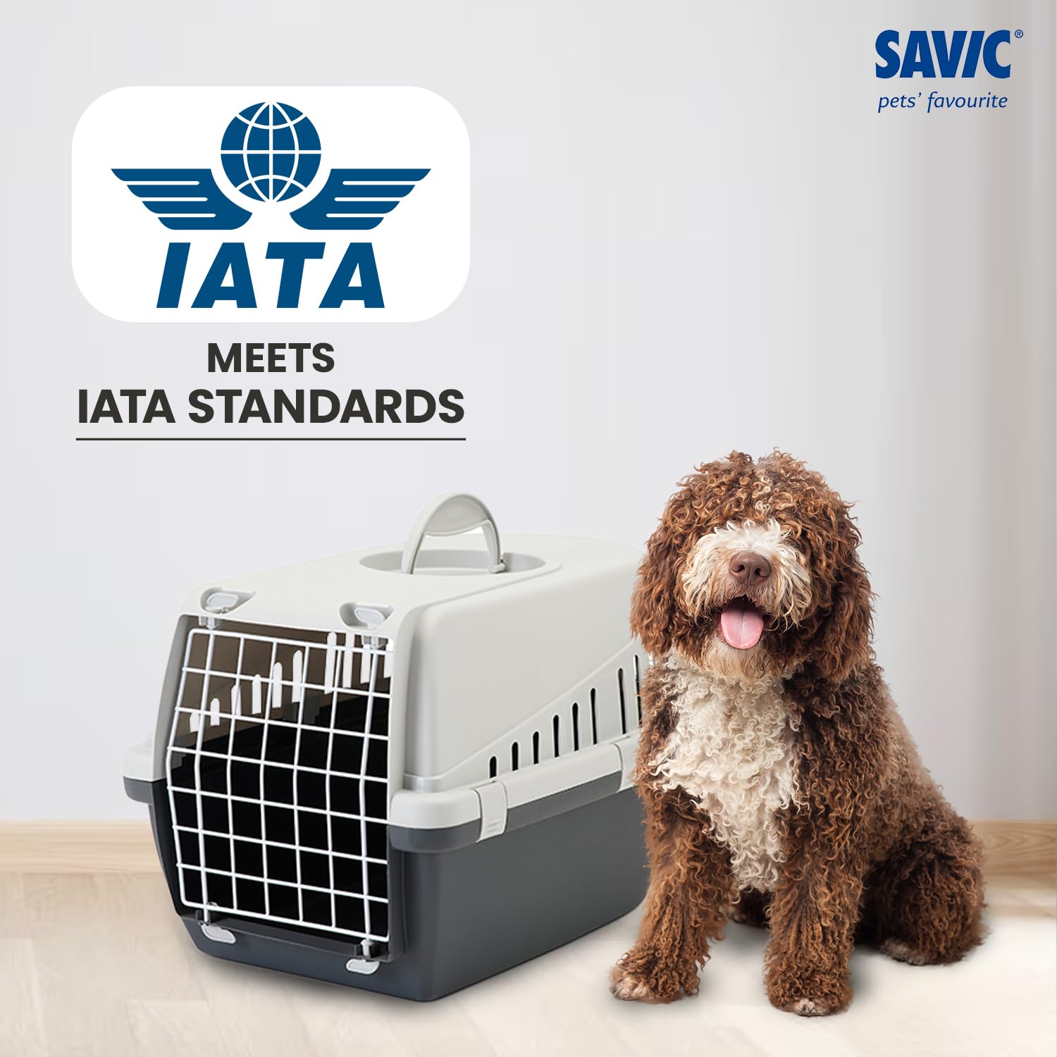 Savic Trotter 1 Pet Carrier for Dogs & Cats, Lightweight Hard Plastic Travel Carrier with Ventilation & Secure Locking Door, Compact Pet Transport Box β 19 x 13 x 12 Inch Dark Grey 2