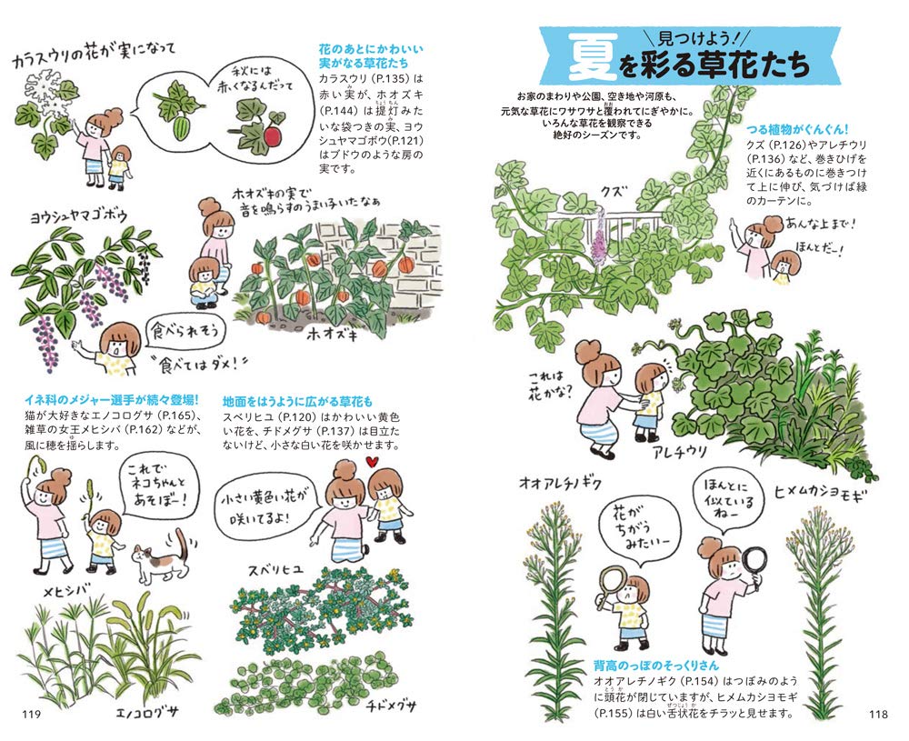最適な価格 子どもと一緒に見つける 草花さんぽ図鑑 econet.bi