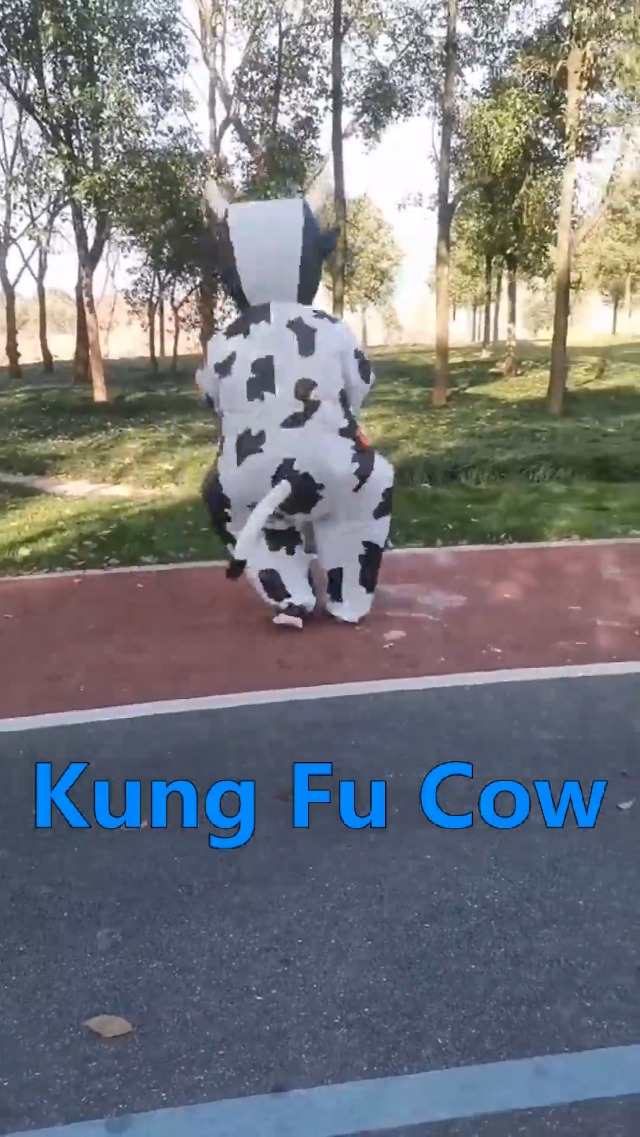 Kung Fu Cow on Amazon Live