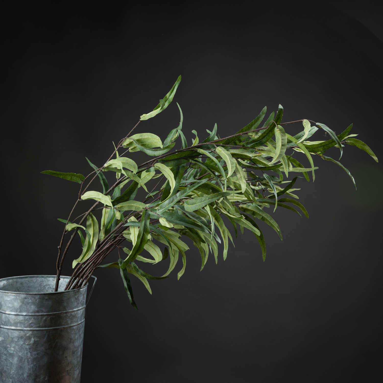 Hill Interiors Uk Homeliving Eucalyptus Nicholii Spray from B&Q
