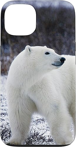 Funda para iPhone 13 Osos Polares Animal Nature