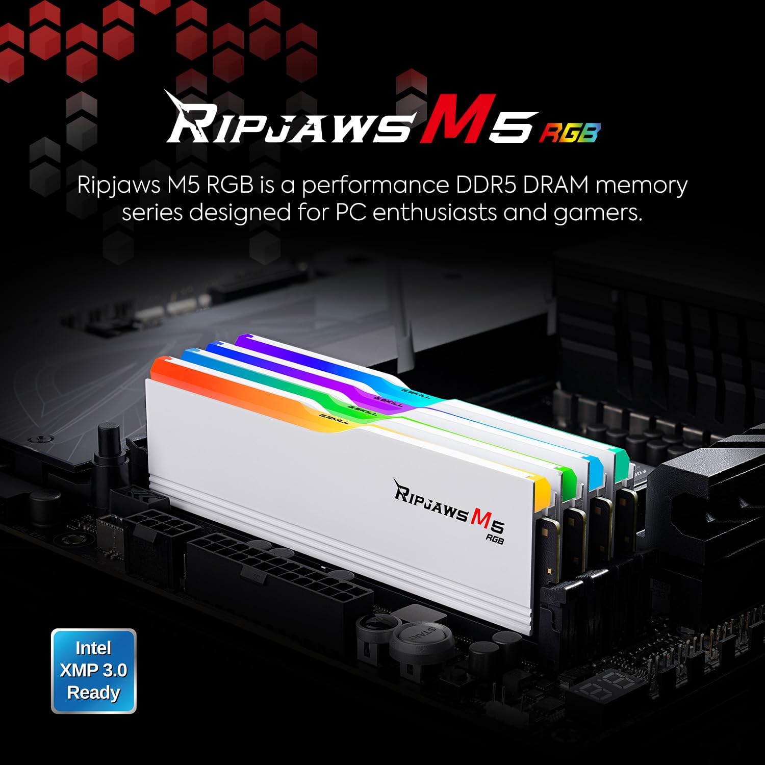 Four white G.SKILL Ripjaws M5 RGB DDR5 RAM modules installed in a motherboard, with colorful RGB lighting and 'Intel XMP 3.0 Ready' badge.