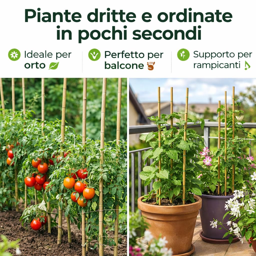 Tutori in Bambù Naturale – Pali per Pomodori, Sostegni per Piante da Interno ed Esterno – Bastoni per Orto e Giardinaggio – Lunghezze da 40 a 240 cm (10, 180, Centimetri)