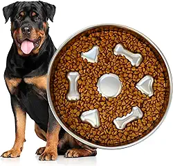 Potes e Tigelas para Cães,304 Aço Inoxidável Comedouro Lento Funcional Mini Pet Fit Agua Para Cães, para Alimentação Lenta (1 Kit)