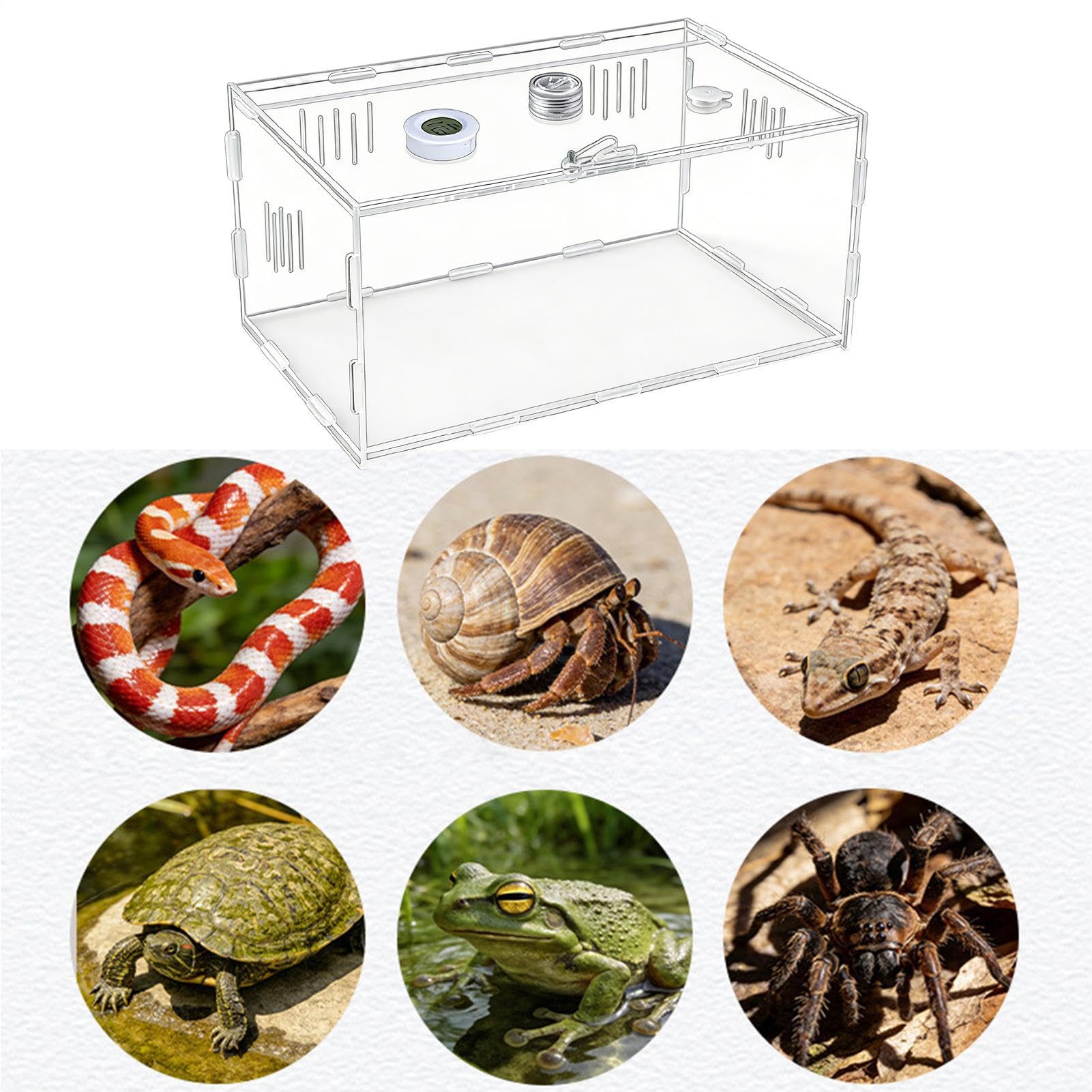 Terrari Per Rettili Habitat Isolato Con Vista Panoramica A 360° | Kit per Terrario Per Piccoli Animali Domestici per l'sia in Interno che all'Esterno per Casa Famiglia e