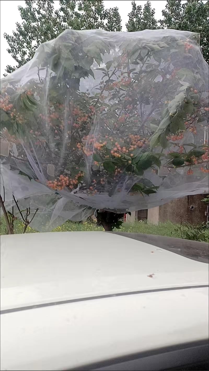 Filet De Jardin Pour Plates-bandes Surélevées - Couverture